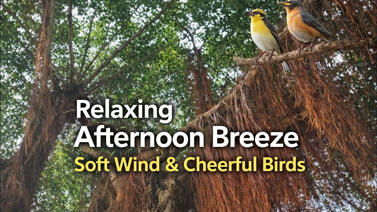 Peaceful Afternoon Breeze 🌬️ Soft Wind & Cheerful Birds in the Trees
