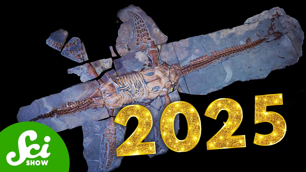 The Coolest Fossils of 2025