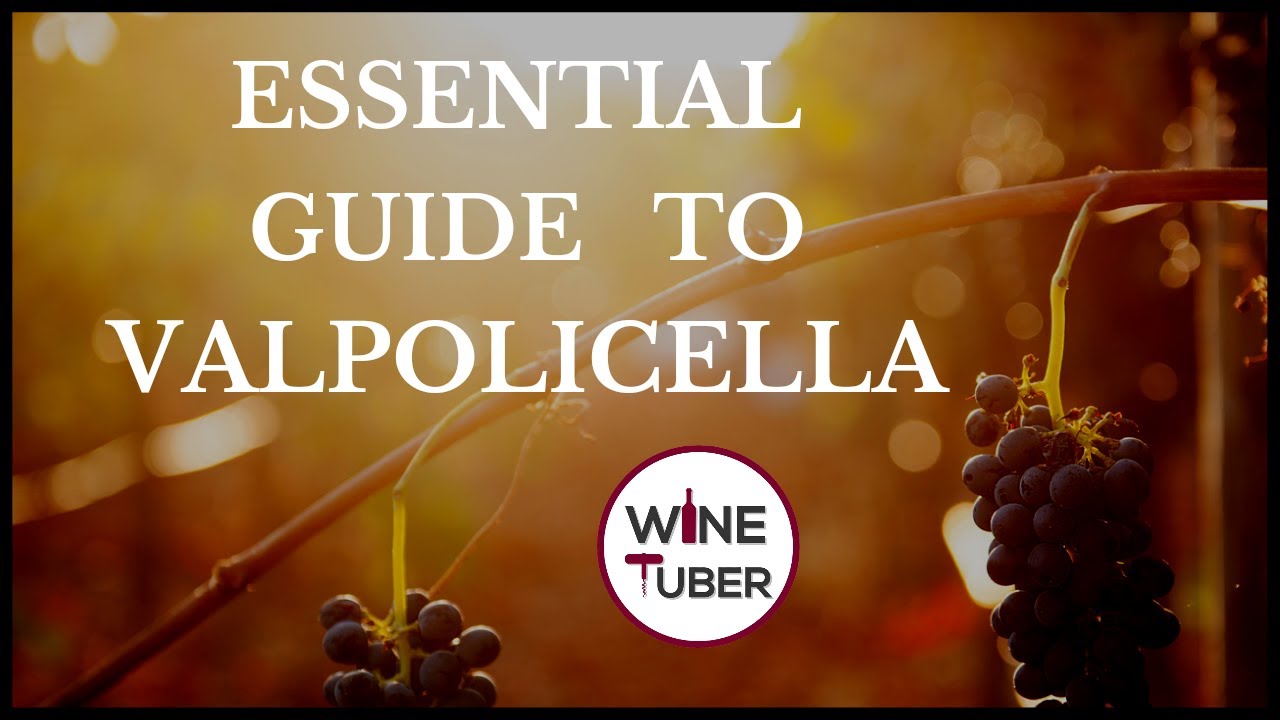 Valpolicella Wines Explained | What is Valpolicella? 