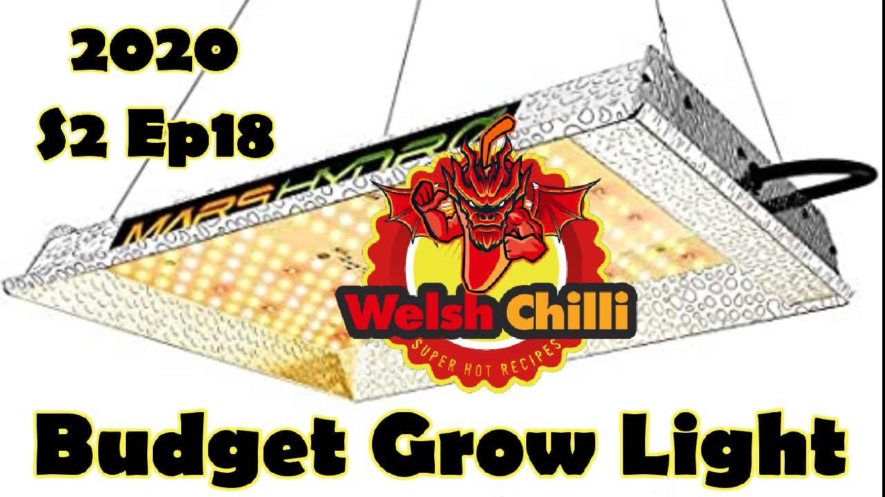 BUDGET GROW LIGHT FOR PEPPERS, Mars hydro TS600 Review. Mars Hydro Cup