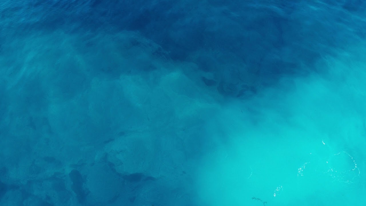 Goat Sounds - Happy Saxo (Feat Gwam Ent Musiq)