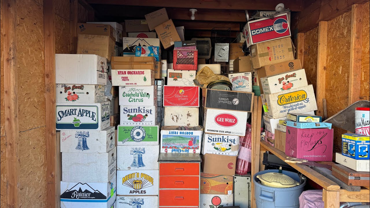 I Bought HUNDREDS of STORAGE TREASURE Finds From This Storage Locker