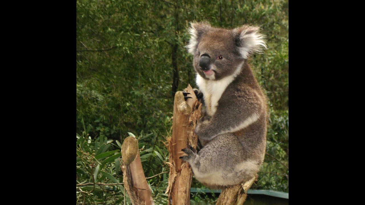 Biriwal Bulga National Park