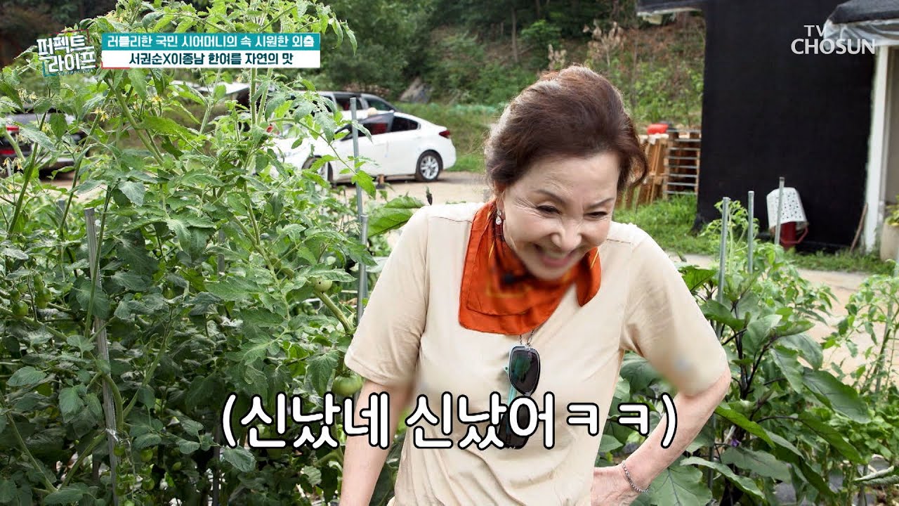 매운맛🌶 시어머니 달인 서권순의 순한맛 일상 모습😄TV CHOSUN 230802 방송  | [퍼펙트 라이프] 150회 | TV조선