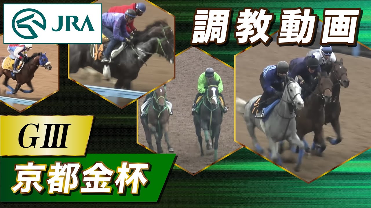 【調教動画】2026年 京都金杯｜JRA公式