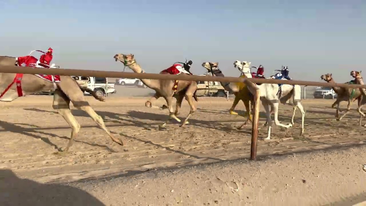 ١٢ الفارس ملك مقبل بن راشد العرجاني