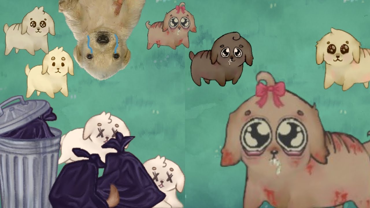 Este juego de perritos se vuelve MUY perturbador… | Ruff Times