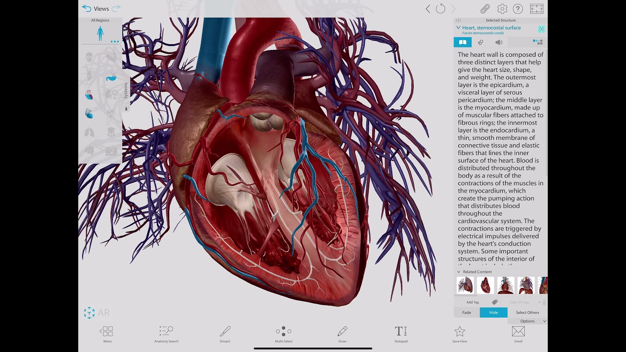 Visual Body app for Biology Anatomy and Physiology