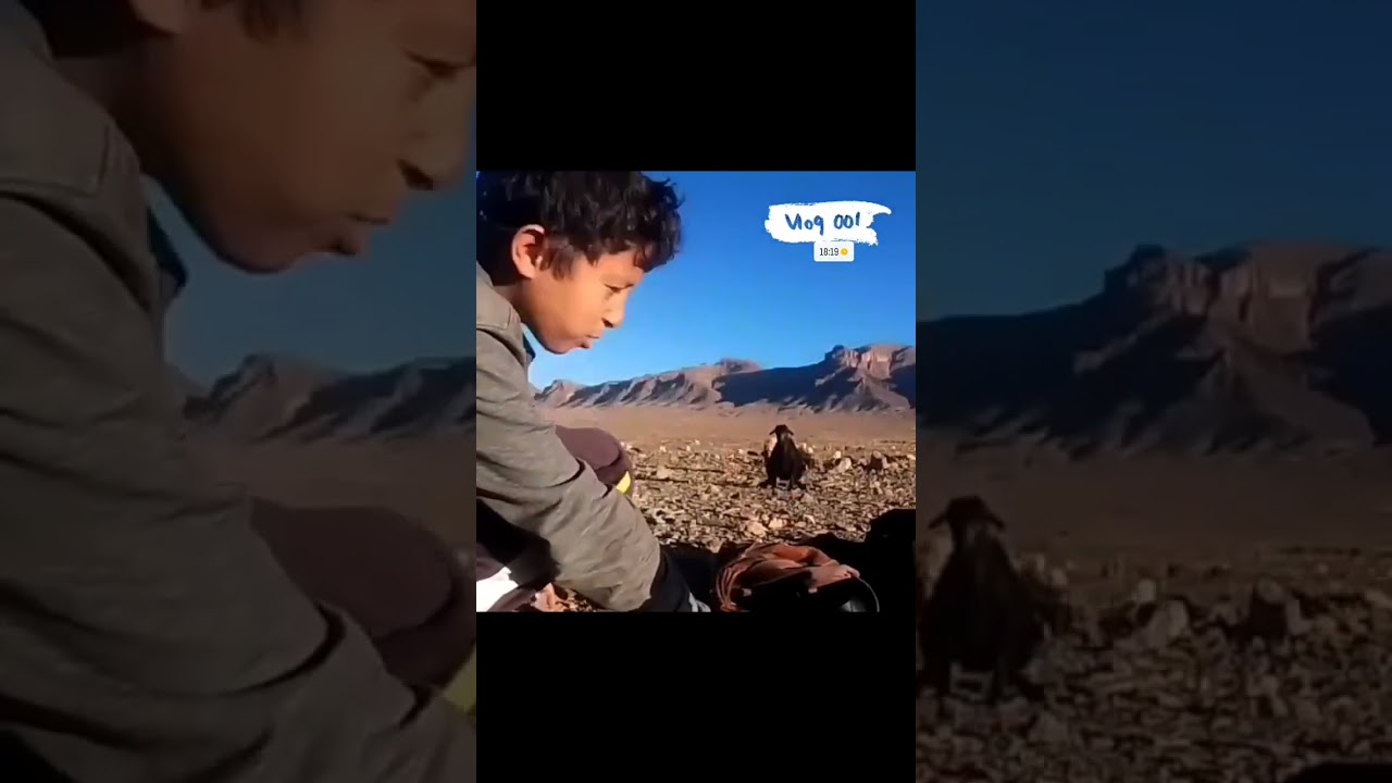 فلوغ في أعماق الطبيعة مع راعي الغنم | هدوء لا يوصف 🌿