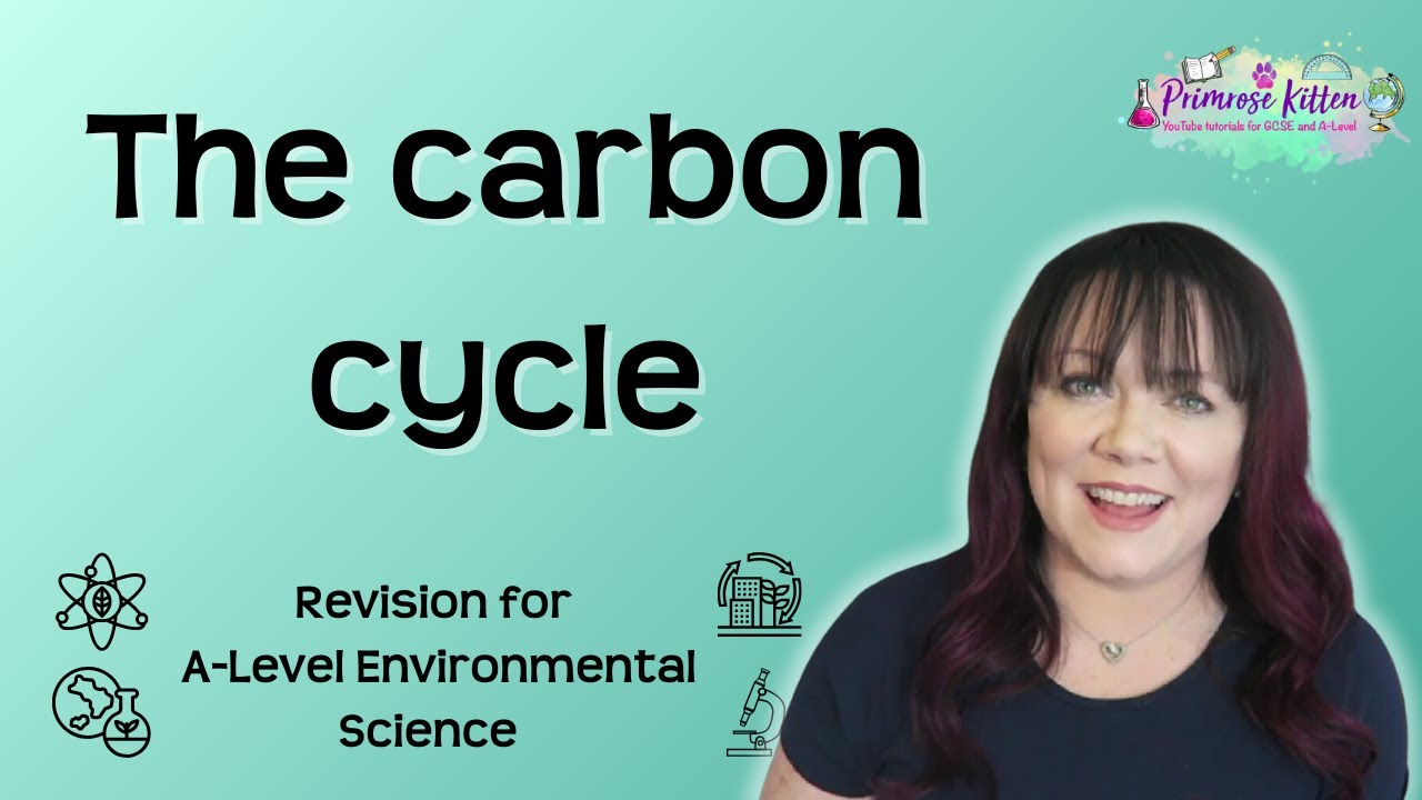 The carbon cycle | Revision for Environmental Science A-Level