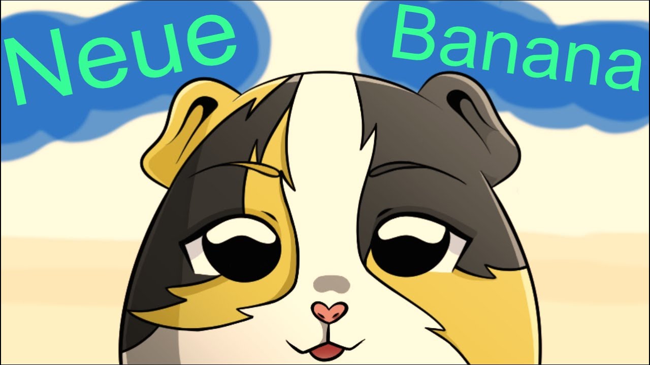 Wir holen das NEUE Banana Meerschweinchen / Es ist ein MÄNNCHEN ☺️ | Die Meeries