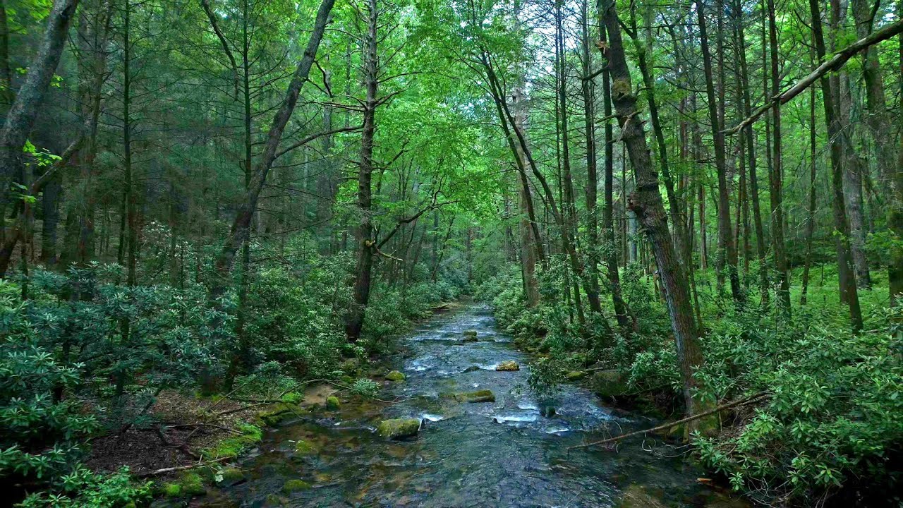 Blue Ridge, GA - 4k drone footage