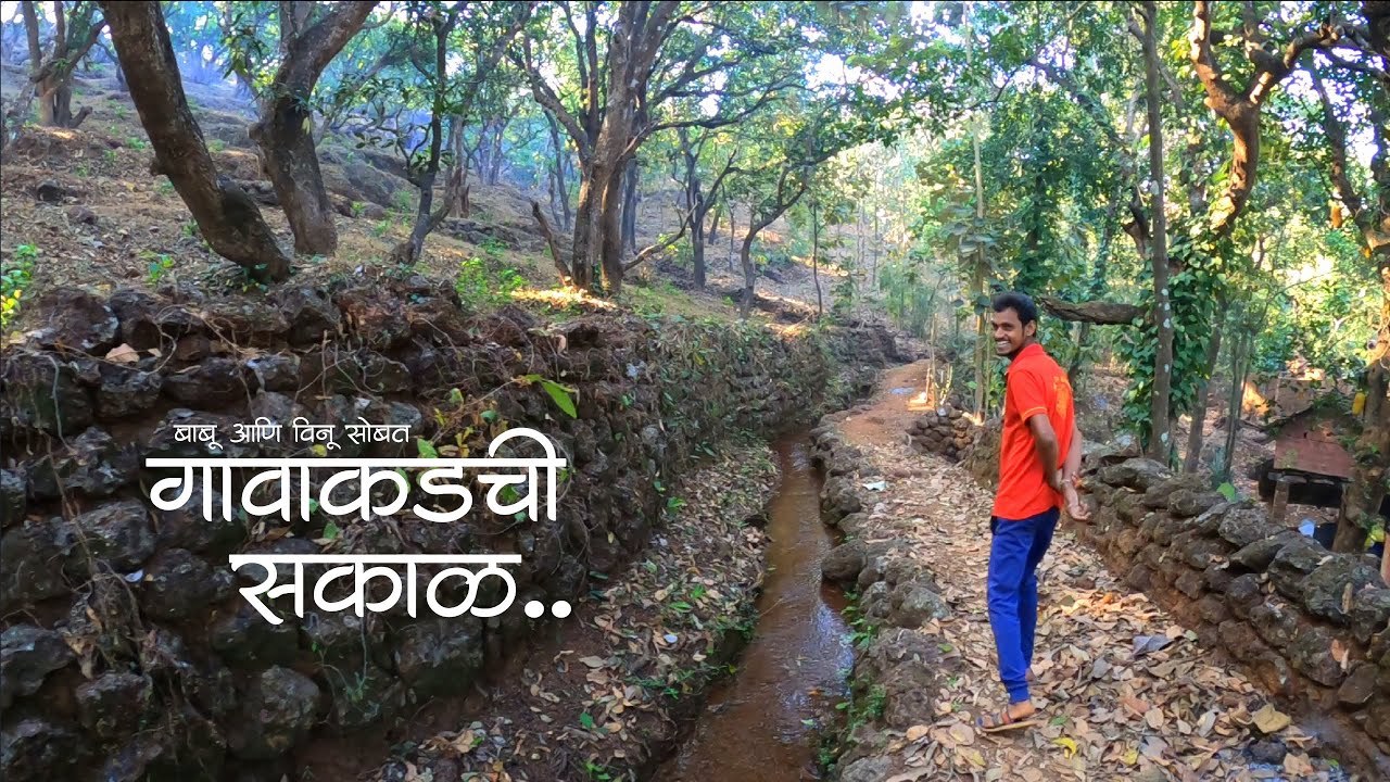 गावाकडची एक अनोखी सकाळ | मालवणी माणूस आणि गजाली | कोंकणी जीवन | Kokan Vlog | ColoursOfKonkan