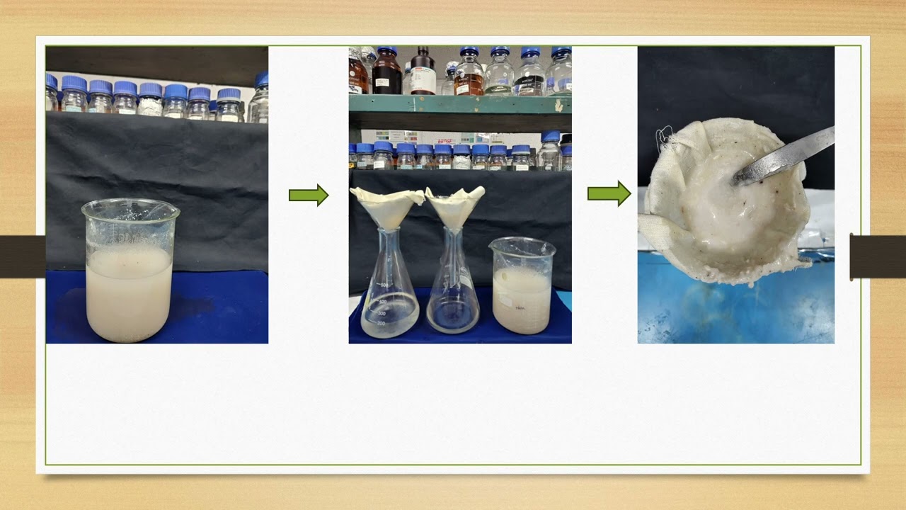 Chitinase Enzyme Activity: Why Chitin Agar Media Shows Suspended Particles?