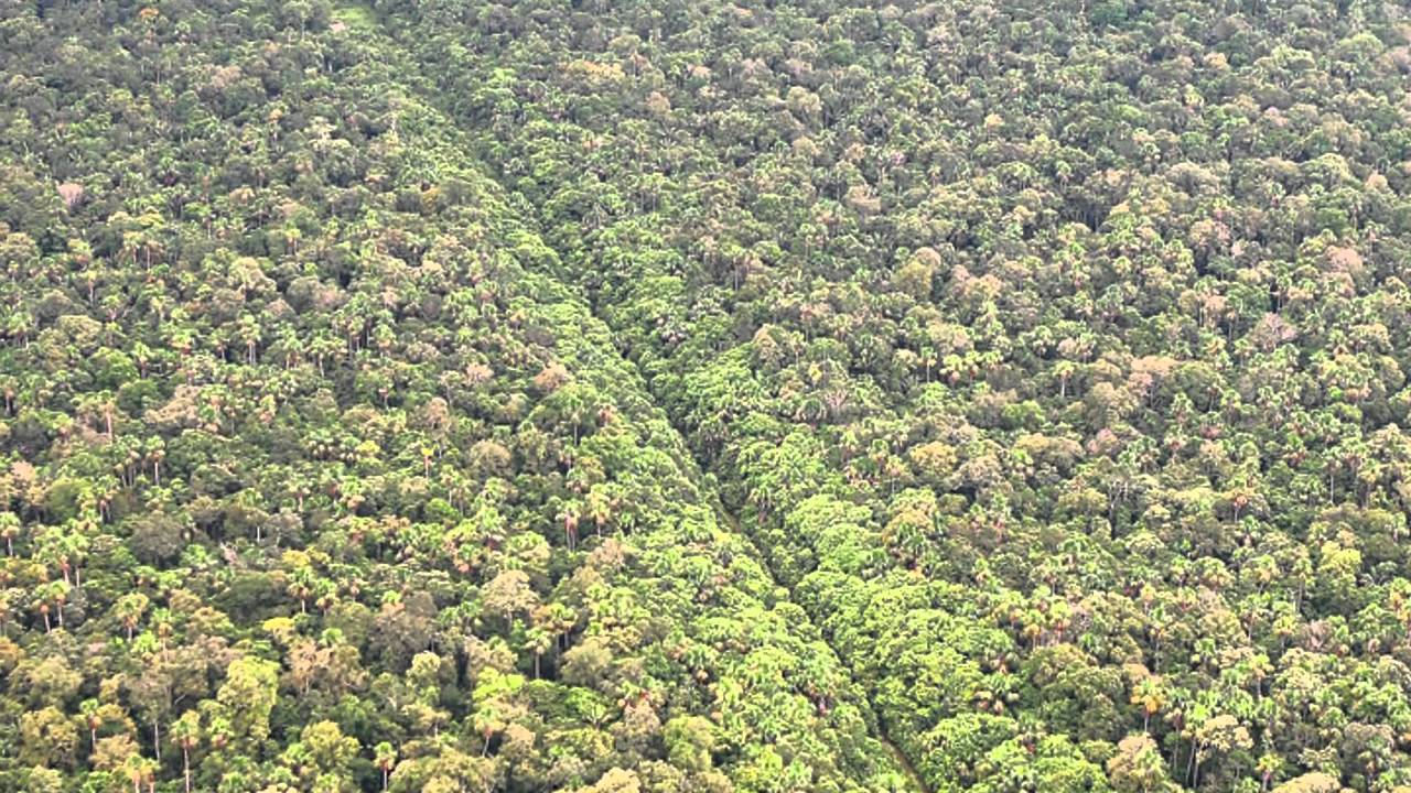 Behind the Scenes of Conservation -  Great Bear: Our Crucial Choice