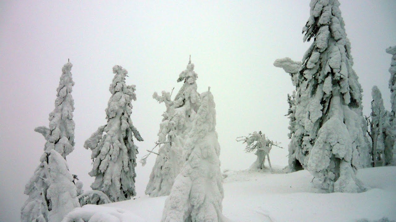 Veľký Rozsutec Zima (Nagy-Rozsutec) - 1610m. 2019.01.26