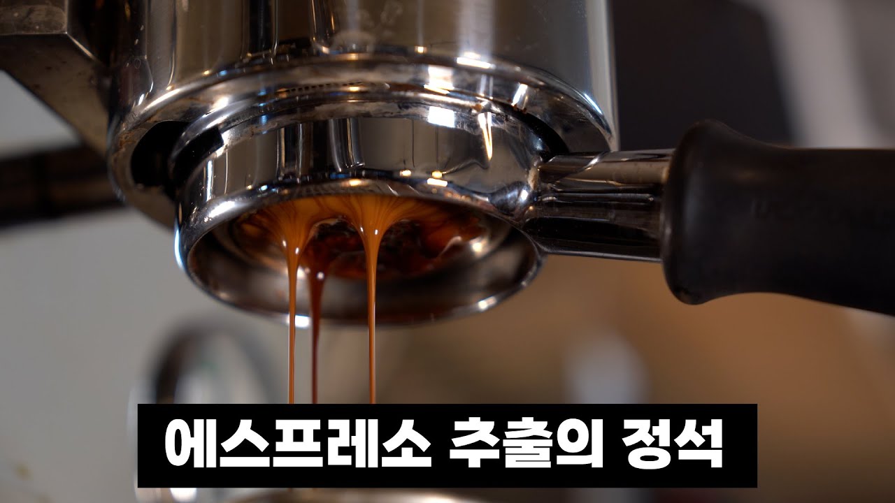 에스프레소 추출의 정석 | 원두 납품하는 사장님의 추출 방법을 확인하세요 | 4K