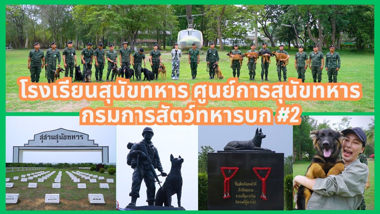 สละชีพเพื่อชาติ 