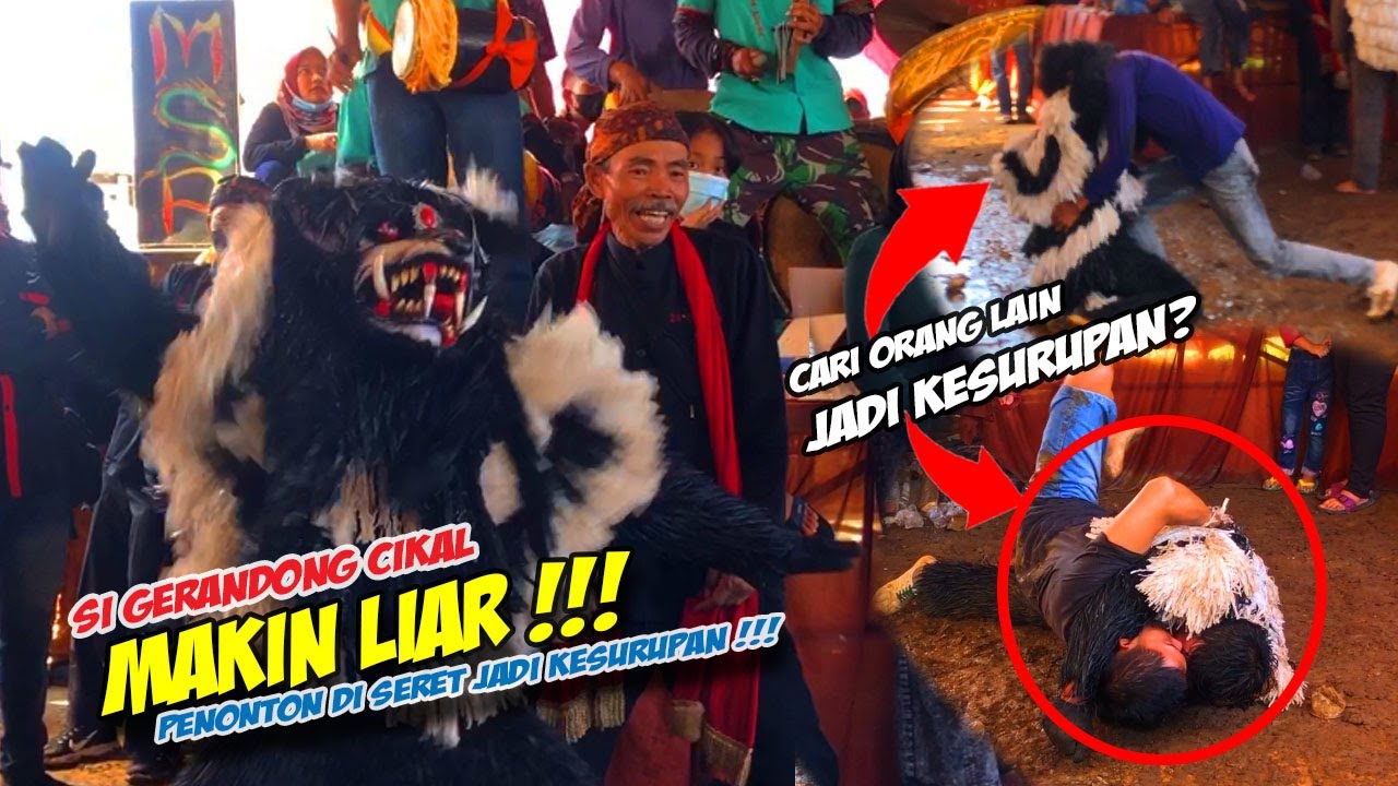 GERANDONG CIKAL MAKIN BERINGAS SAAT PENTAS ❗❗ KUDA LUMPING MUTIARA SURYA PUTRA 🔥 BARGOLA TV