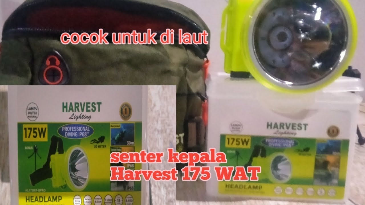 HARVEST LIGHTING 175 WAT,persiapan berburu ikan saat surut malam