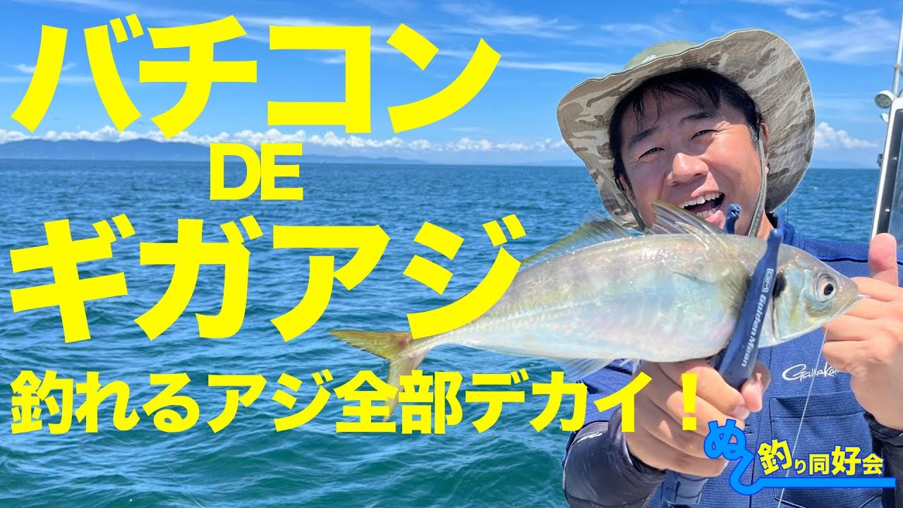 バチコン DE ギガアジ 【釣れるアジ全部デカイ！】