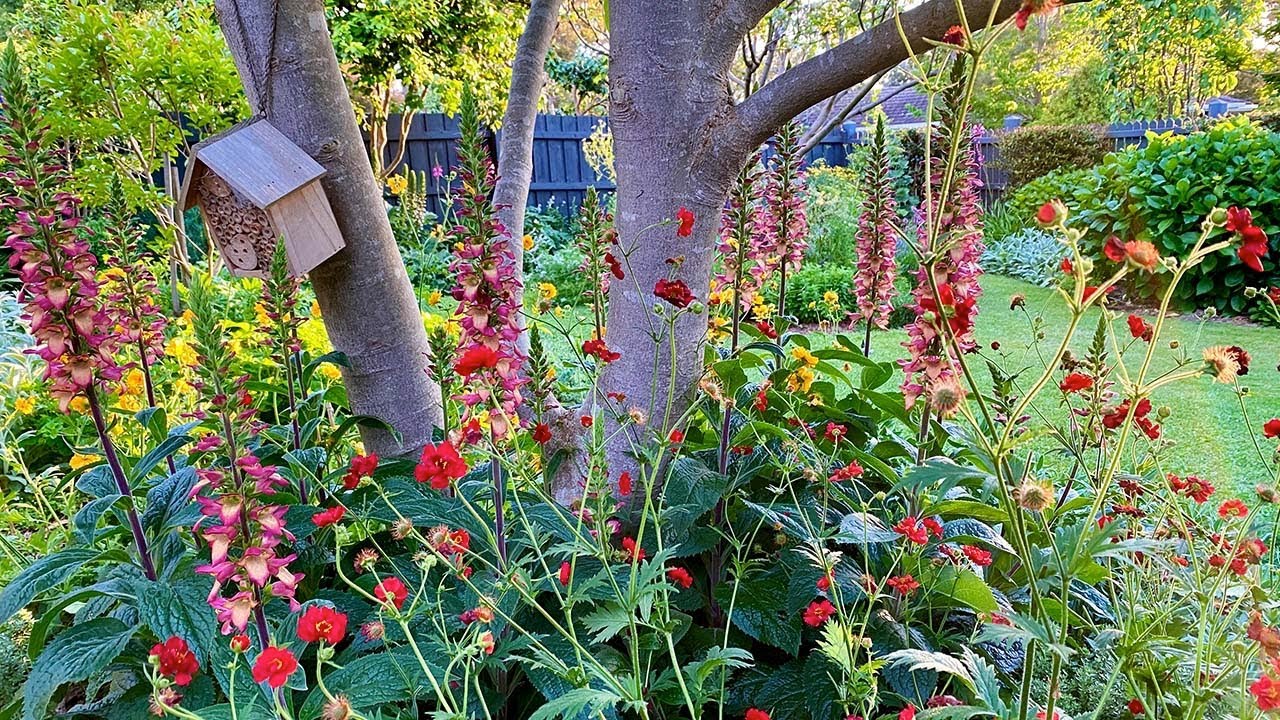 Elisabeth's Garden. A Quick Tour