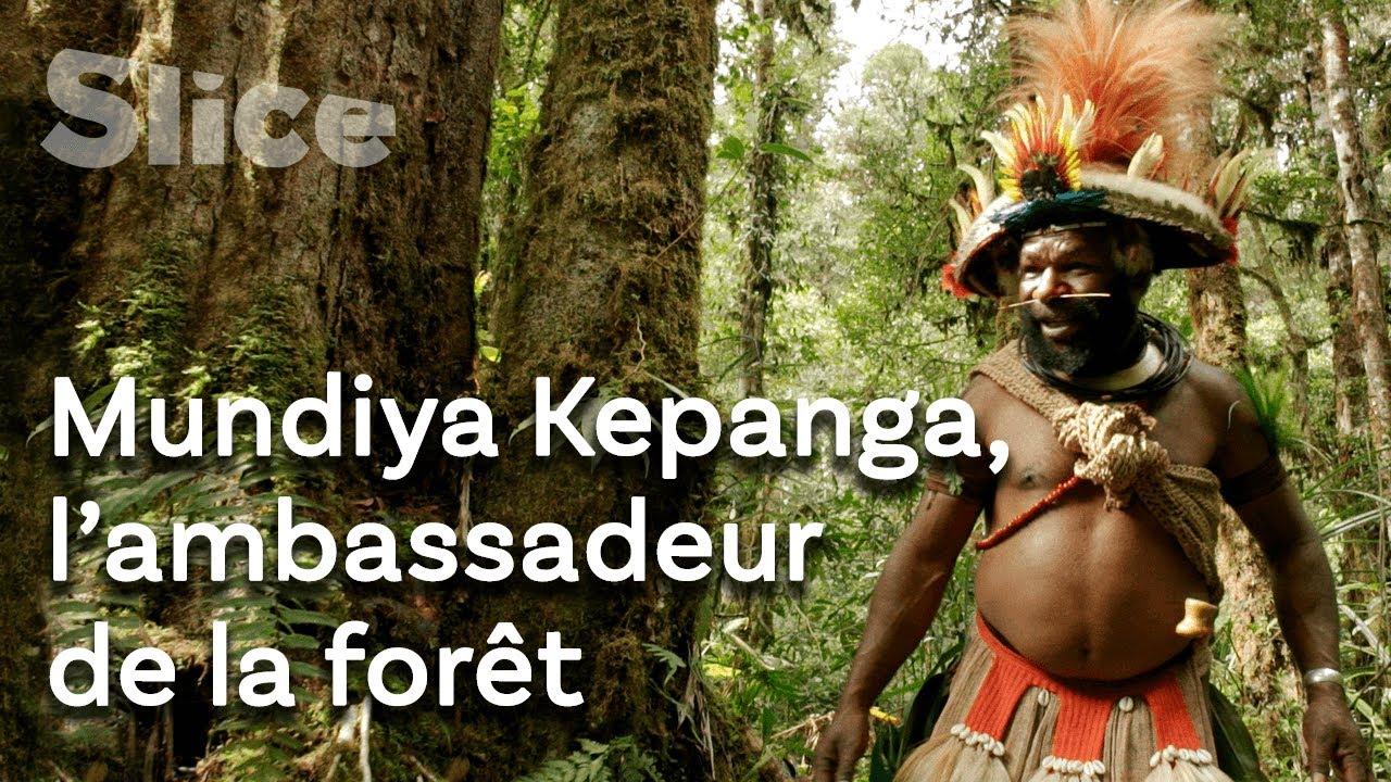 Le chef papou qui relaie le cri de la forêt | SLICE