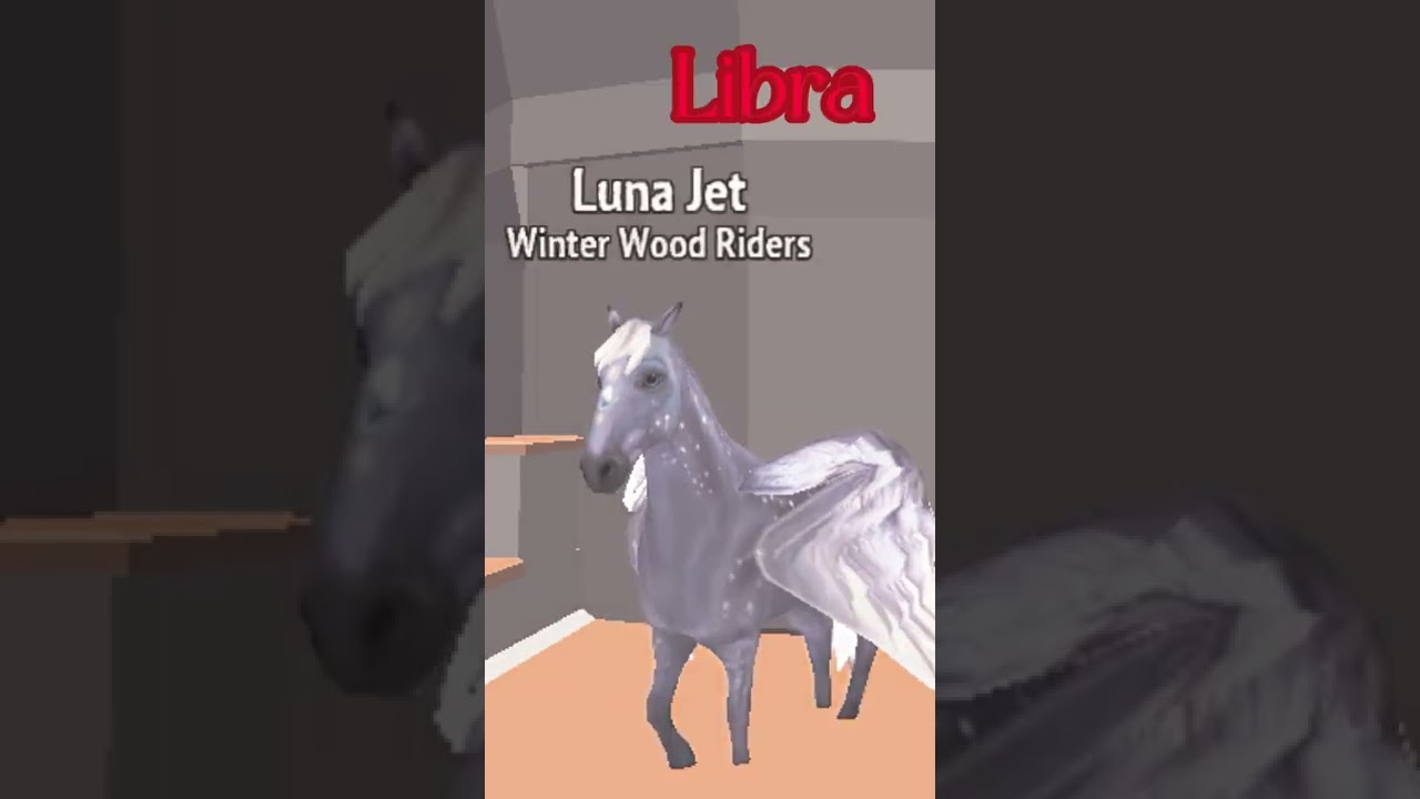 Your Zodiac Sign -Your Horse Riding Tales Horse-HorseRidingTales Equin Part 1