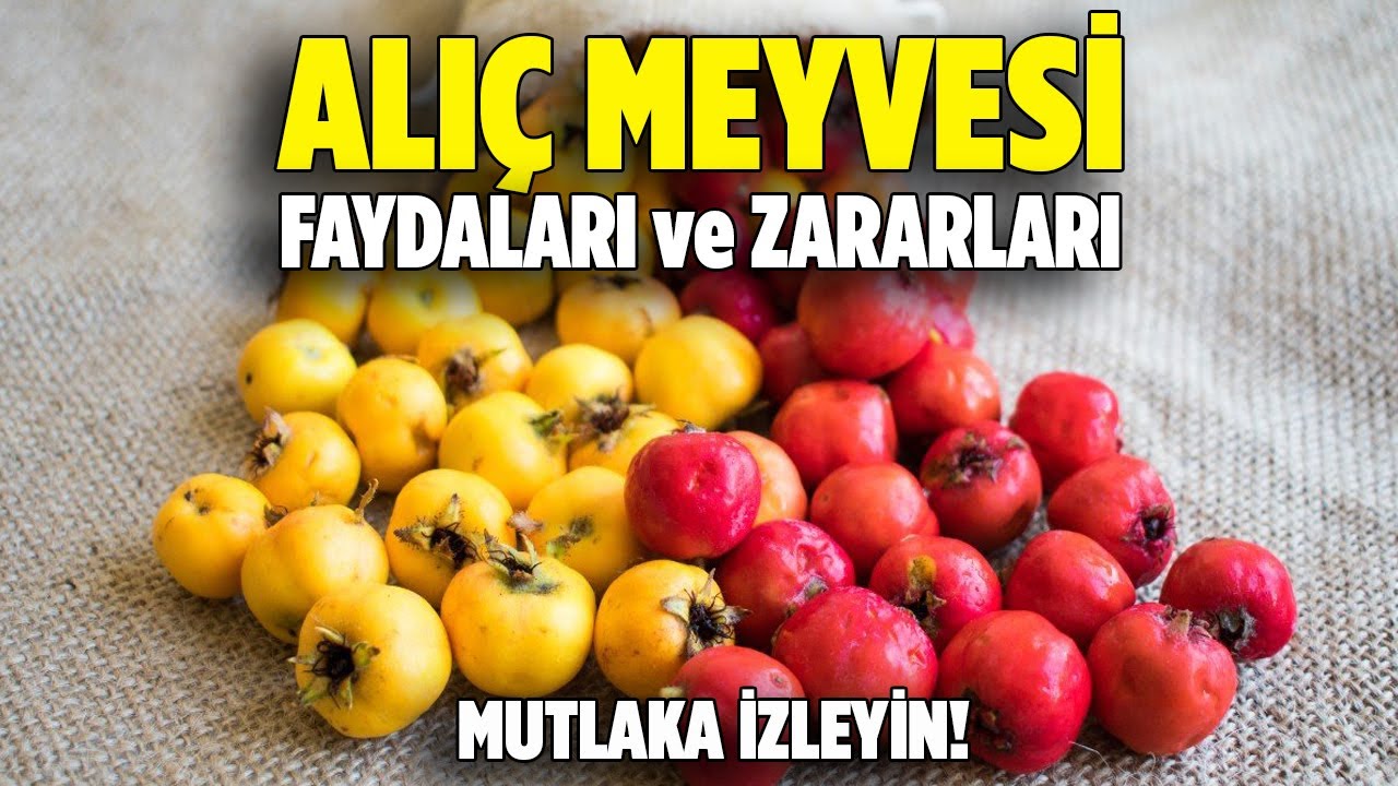 Alıç Meyvesinin Faydaları, ve Zararları Nelerdir? - Pratik Bilgi Bankası