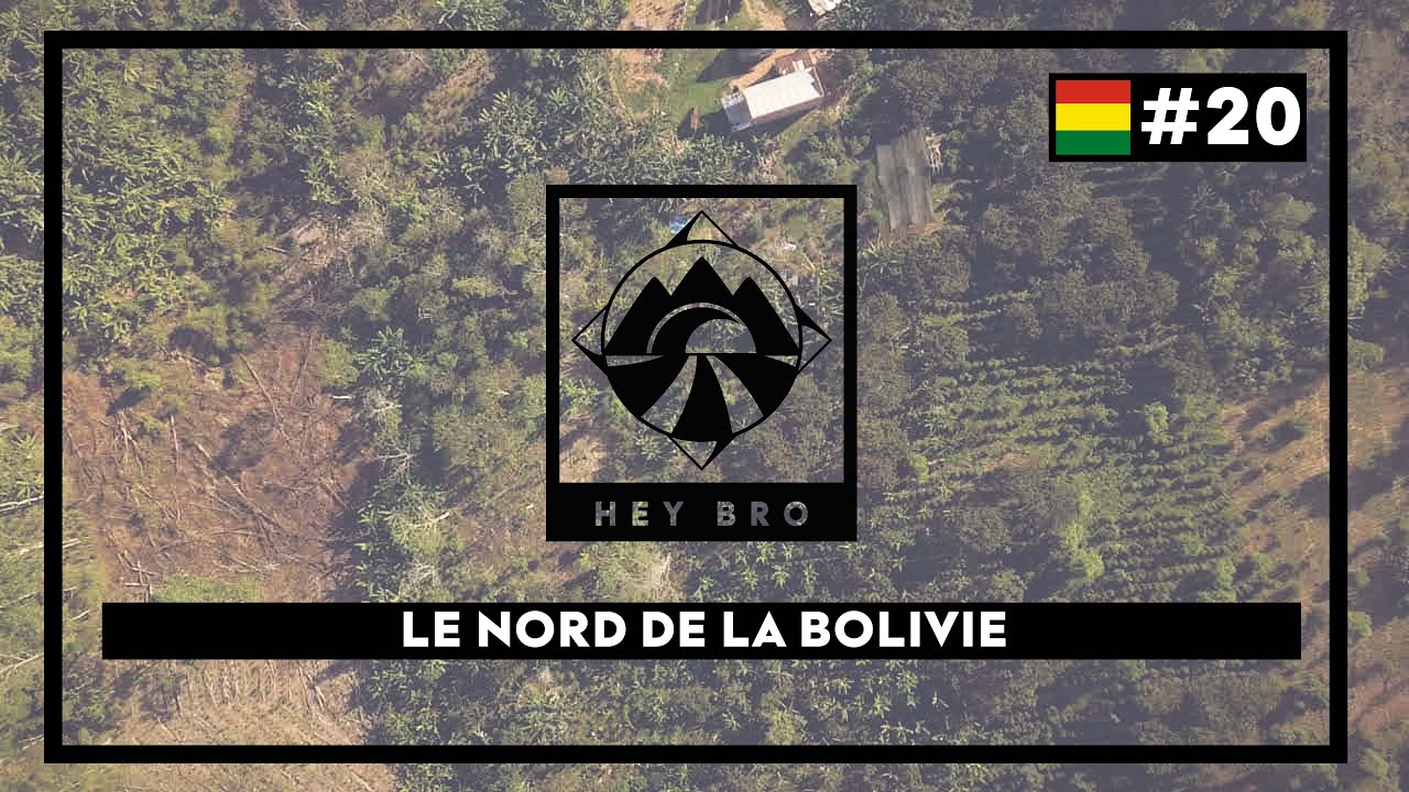 HEY BRO - #20 - La forêt en Bolivie