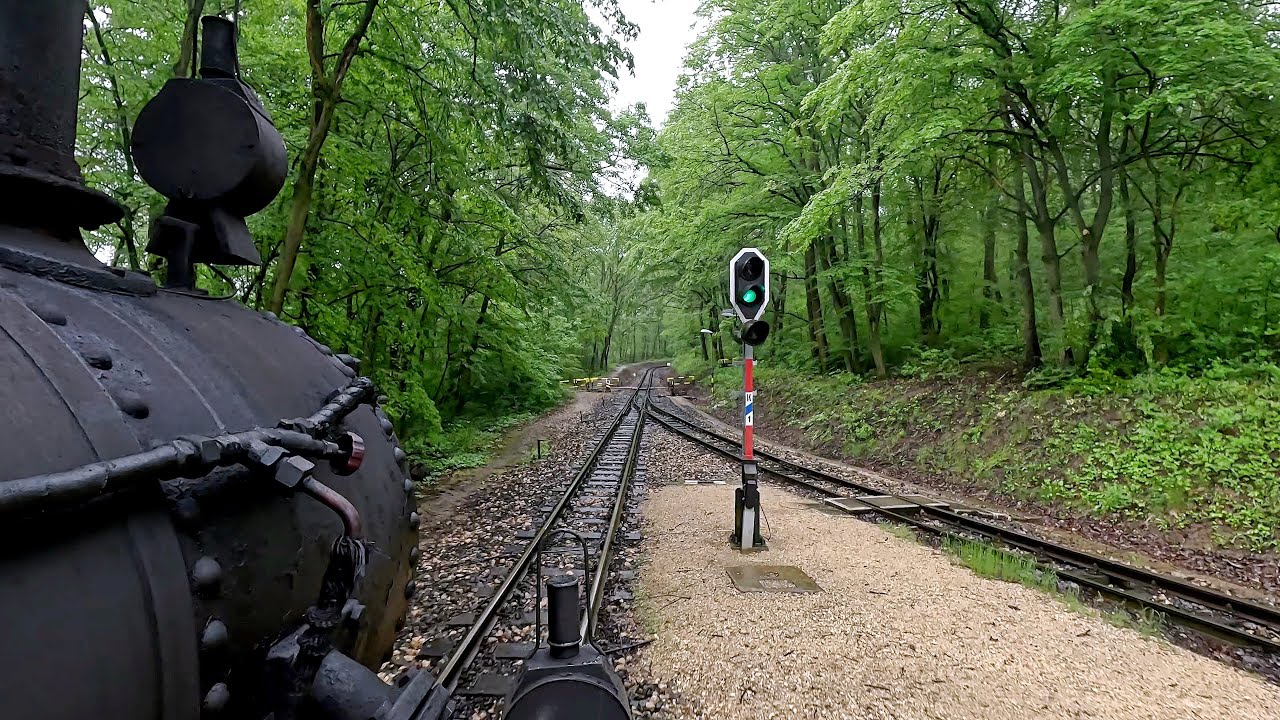Driver's Eye View Plus - Budapest Children's Railway - Castle Hill Funicular - Buses, Trains & Trams