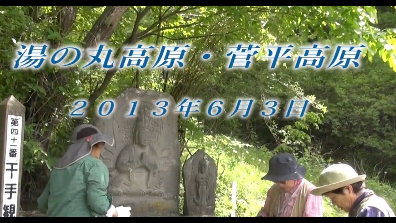 133 上信越 湯の丸高原菅平高原6月 2013年6月3日 - 生物多様性体験保全センター 高山植物を主とした野生植物の映像集