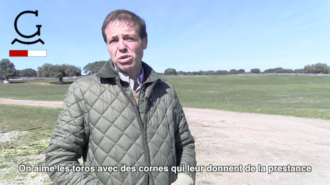 Campo 2018 - Garcigrande - Mercredi 18 juillet