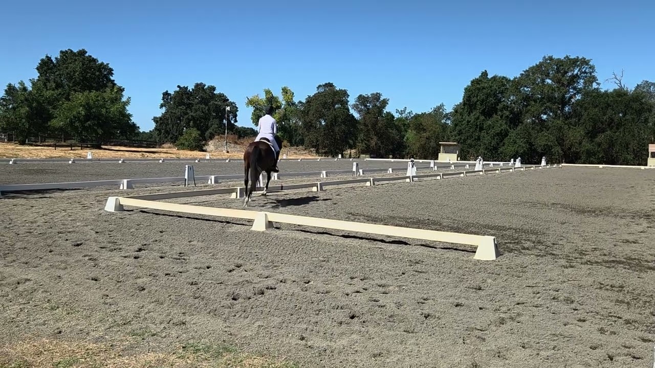 Dolce schooling show August 3, 2025