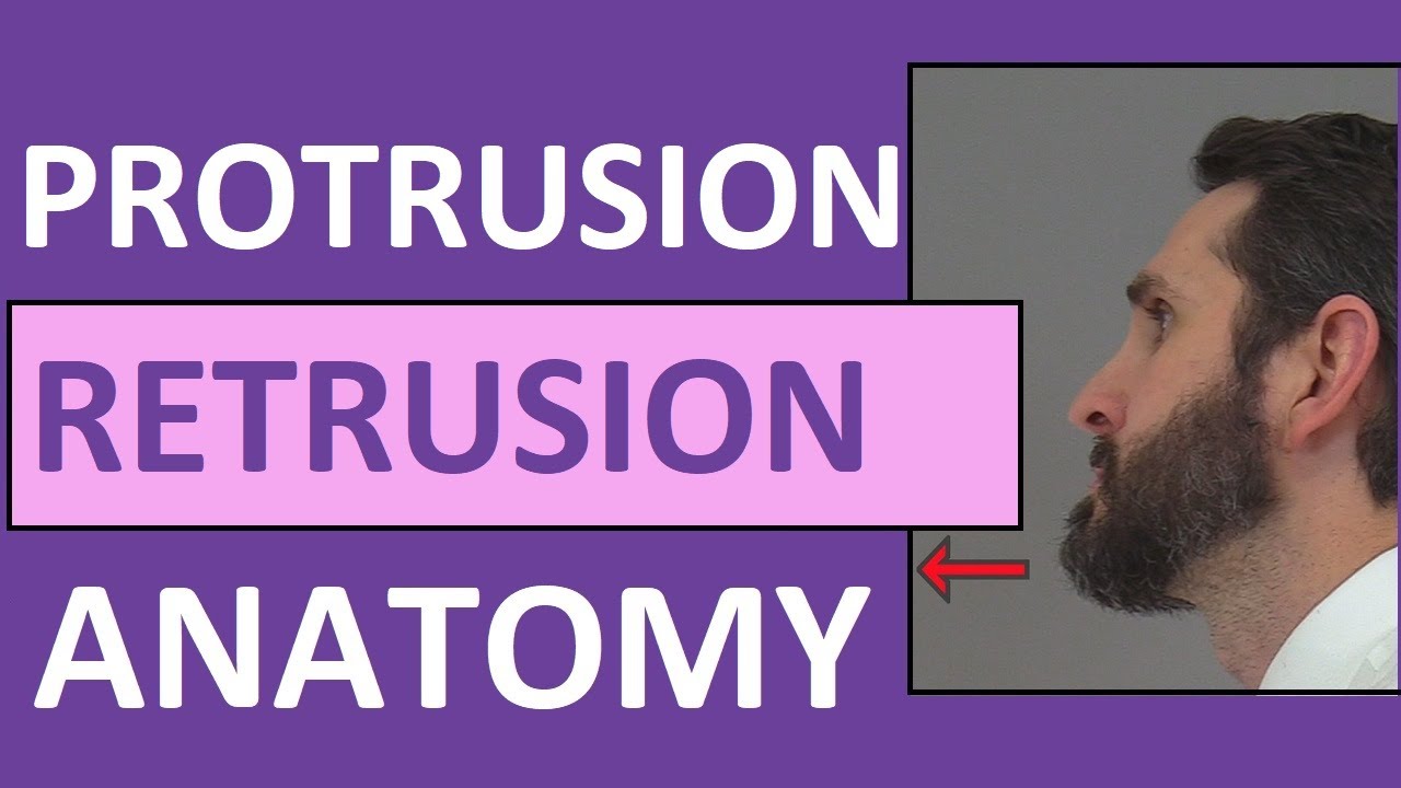 Protrusion, Retrusion, and Excursion Anatomy Body Movement Terms