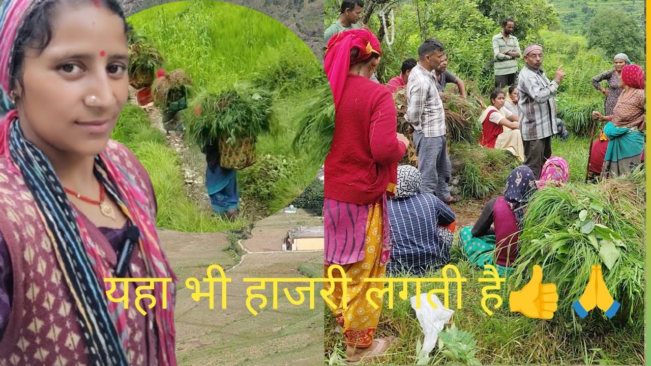 स्कूल की तरह हाजरी लगानी पड़ती 😎स्कूल के दिन याद आये 🤓