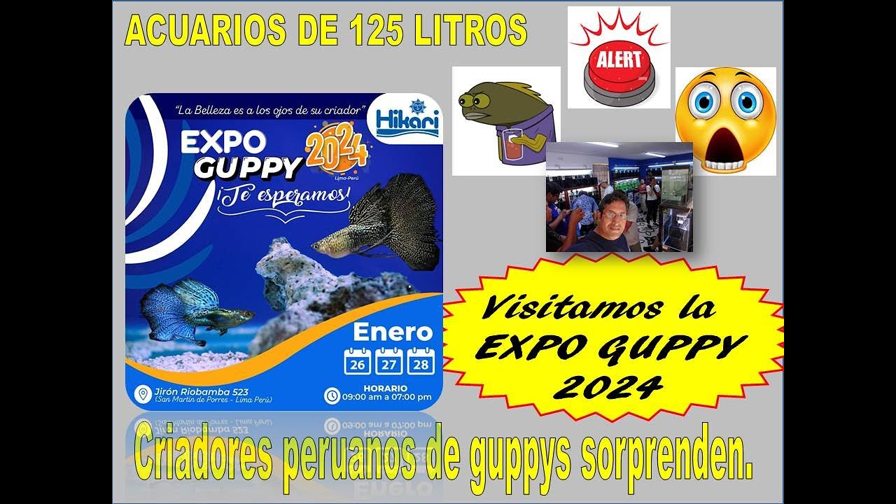 Visitamos la EXPO GUPPY 2024 - Criadores peruanos de guppys sorprenden -
