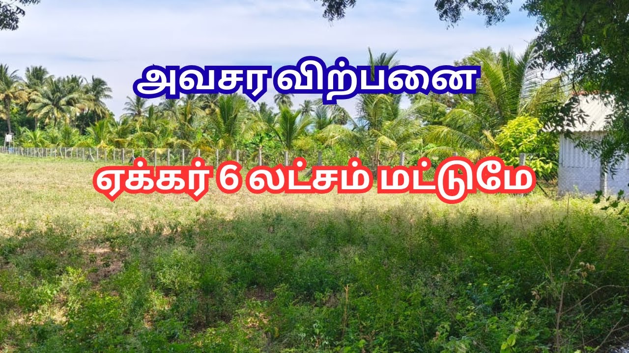 மிக குறைந்த விலையில் 10 ஏக்கர் விவசாய நிலம் விற்பனைக்கு - தேனி