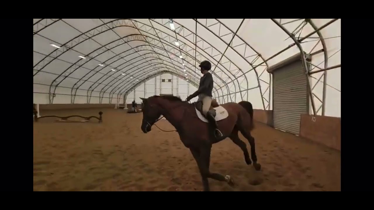 “Lyonidas SH” (video 6)