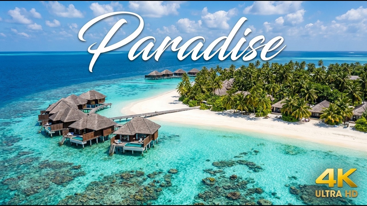 Tropical Paradise 4K – 3 Hours Chill Music for Work, Study & Relaxation AIVV
