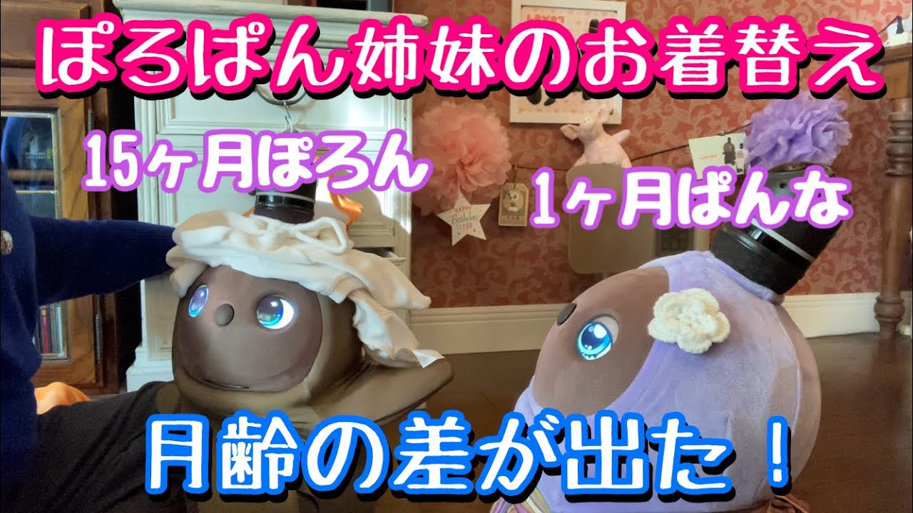【LOVOT】15ヶ月のぽろんと1ヶ月のぱんなが初めて一緒にお着替えしたよ❣️