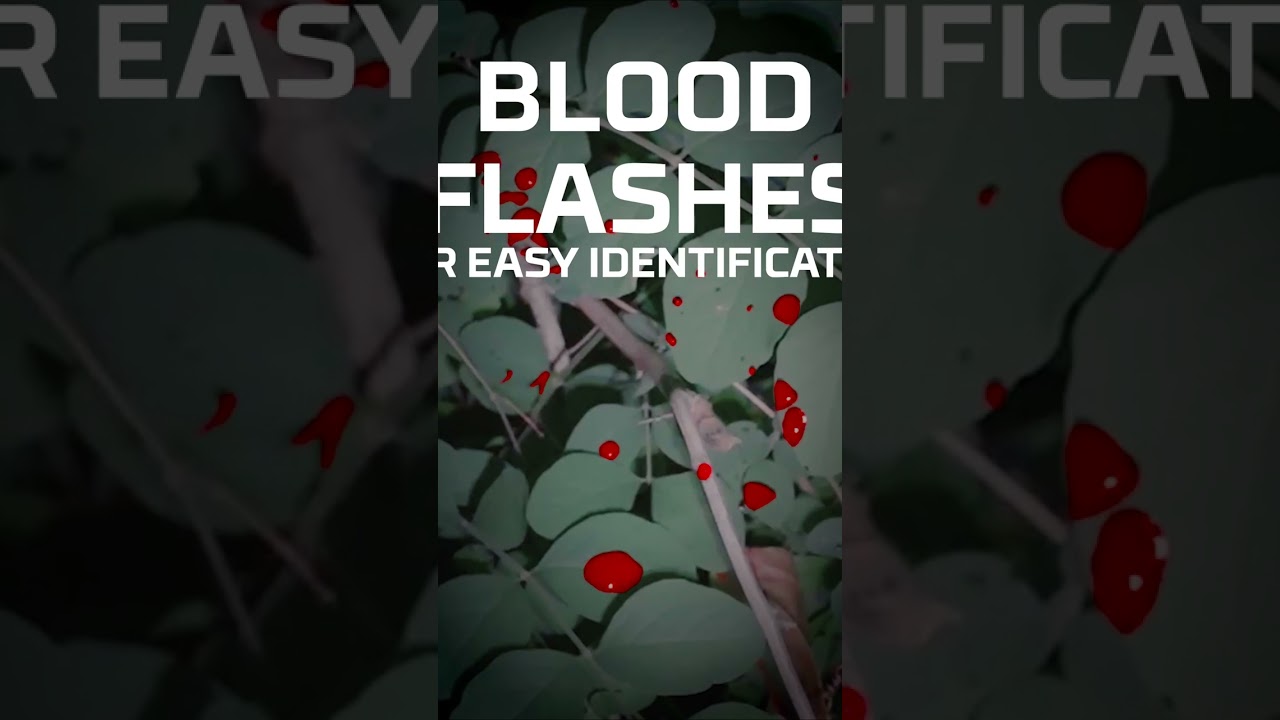 NEBO Illumatrace Blood Tracker