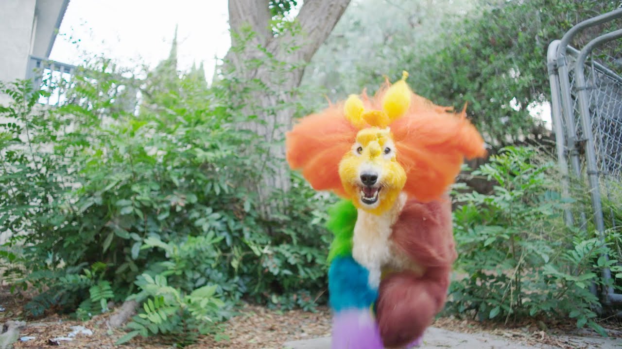 Dan Deacon - Adriane in Wonderland (From 'Well Groomed' Original Score) (Official Video)