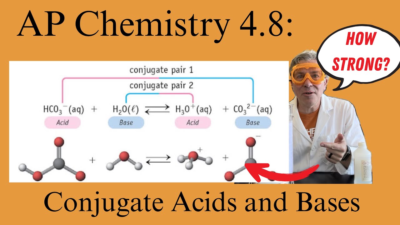 AP Chem 4.8 — Как определить сопряженные кислоты и основания