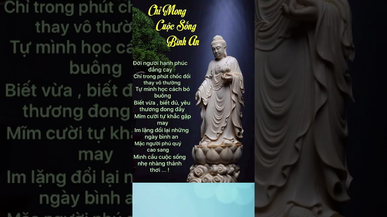 CHỈ MONG CUỘC SỐNG B&Igrave;NH AN #SHORTS #AMAPMIENTAY