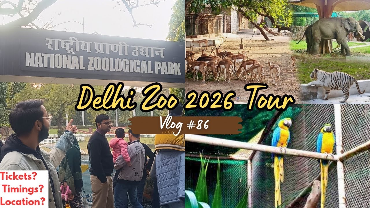 DELHI ZOO (NATIONAL ZOOLOGICAL PARK ) FULL TOUR 🦁|| BEST PLACE TO VISIT IN DELHI WINTERS ❄️ VLOG #86