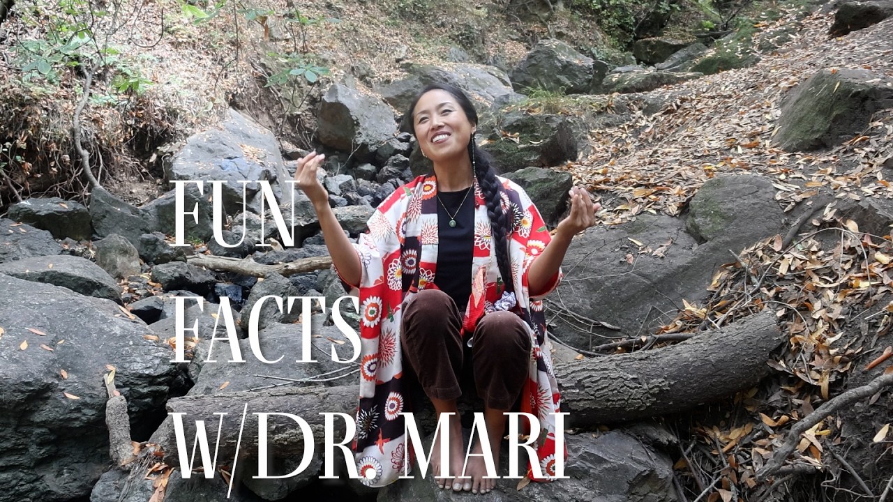 Fun Fact Dr. Sum Kaname Chiropractic