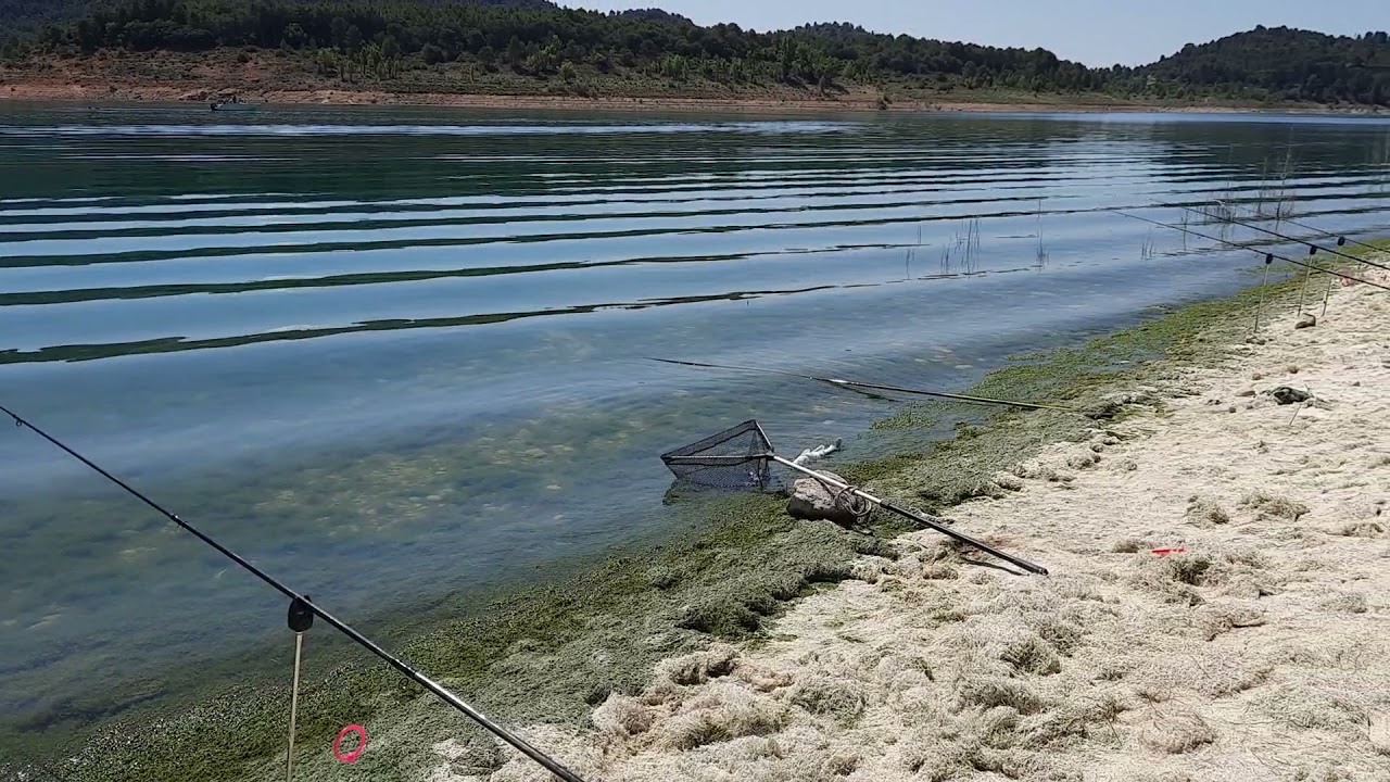 Embalse entrepeñas ,Buendia, pescando lucióperca ,alburno,carpa,barcos 🚢  Sacedon