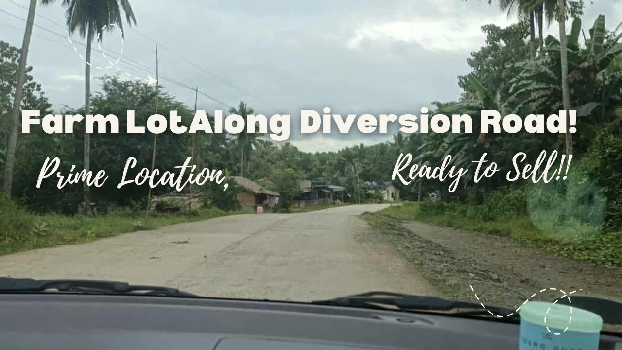 BLOG 55 Farm along diversion Road