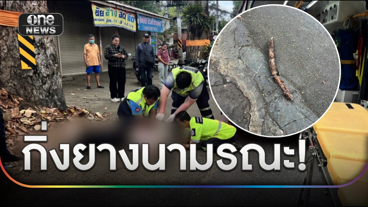 กิ่งยางนามรณะ!  ตกใส่หัวสาวเชียงใหม่ดับสลด | ข่าวเย็นช่องวัน | สำนักข่าววันนิวส์